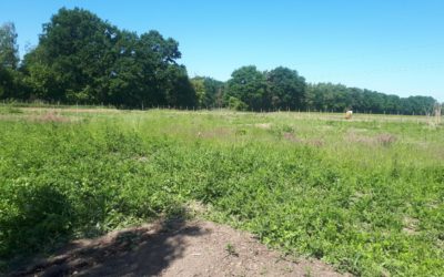 Erfahrungsbericht 2022