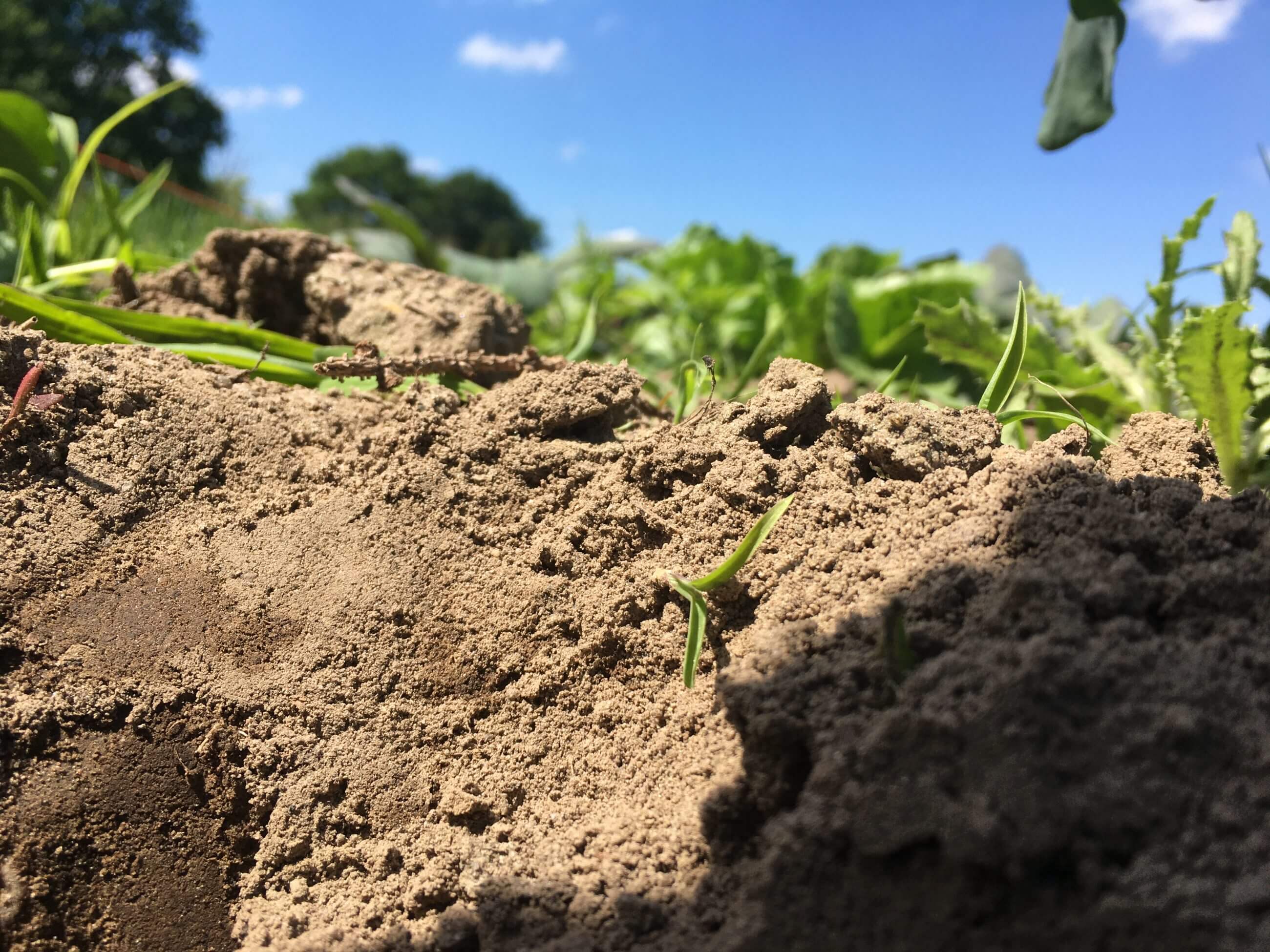 20220603_120525328_iOS