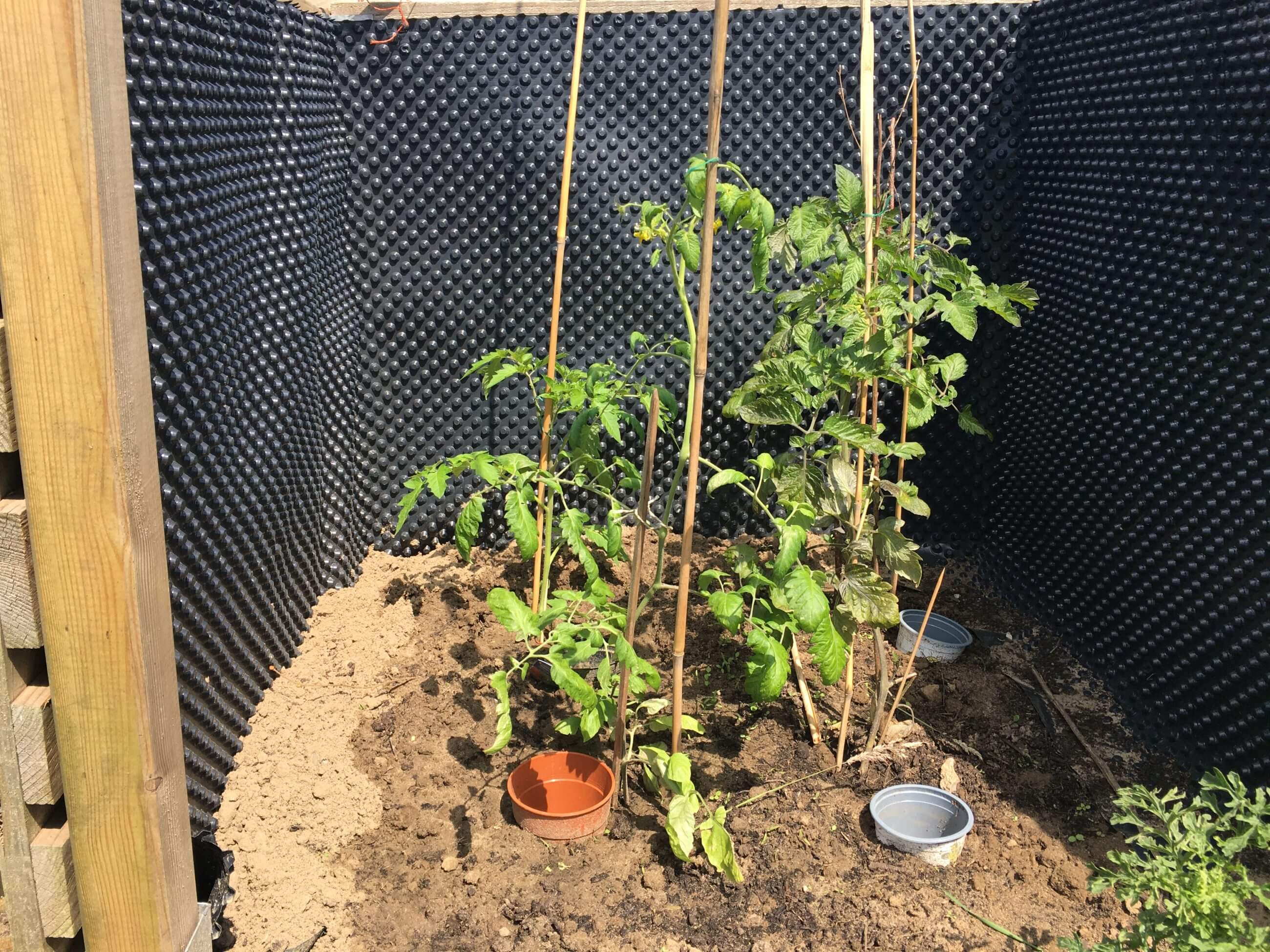 20220603_121222906_iOS